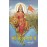 माँ के चरणों में: At The Feet of Mother India